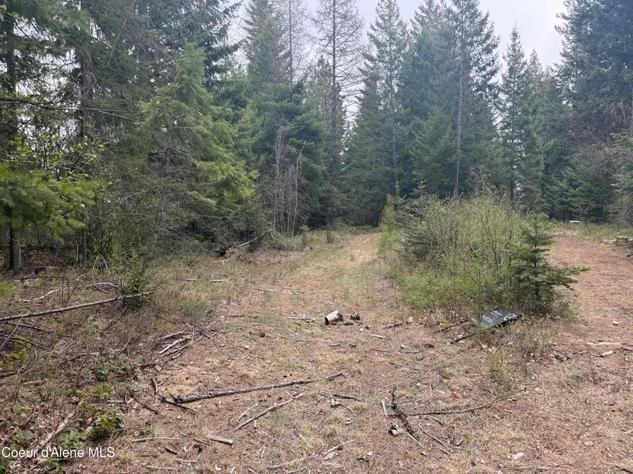 NKA Elderberry Road, Bonners Ferry, ID 83805 - #3