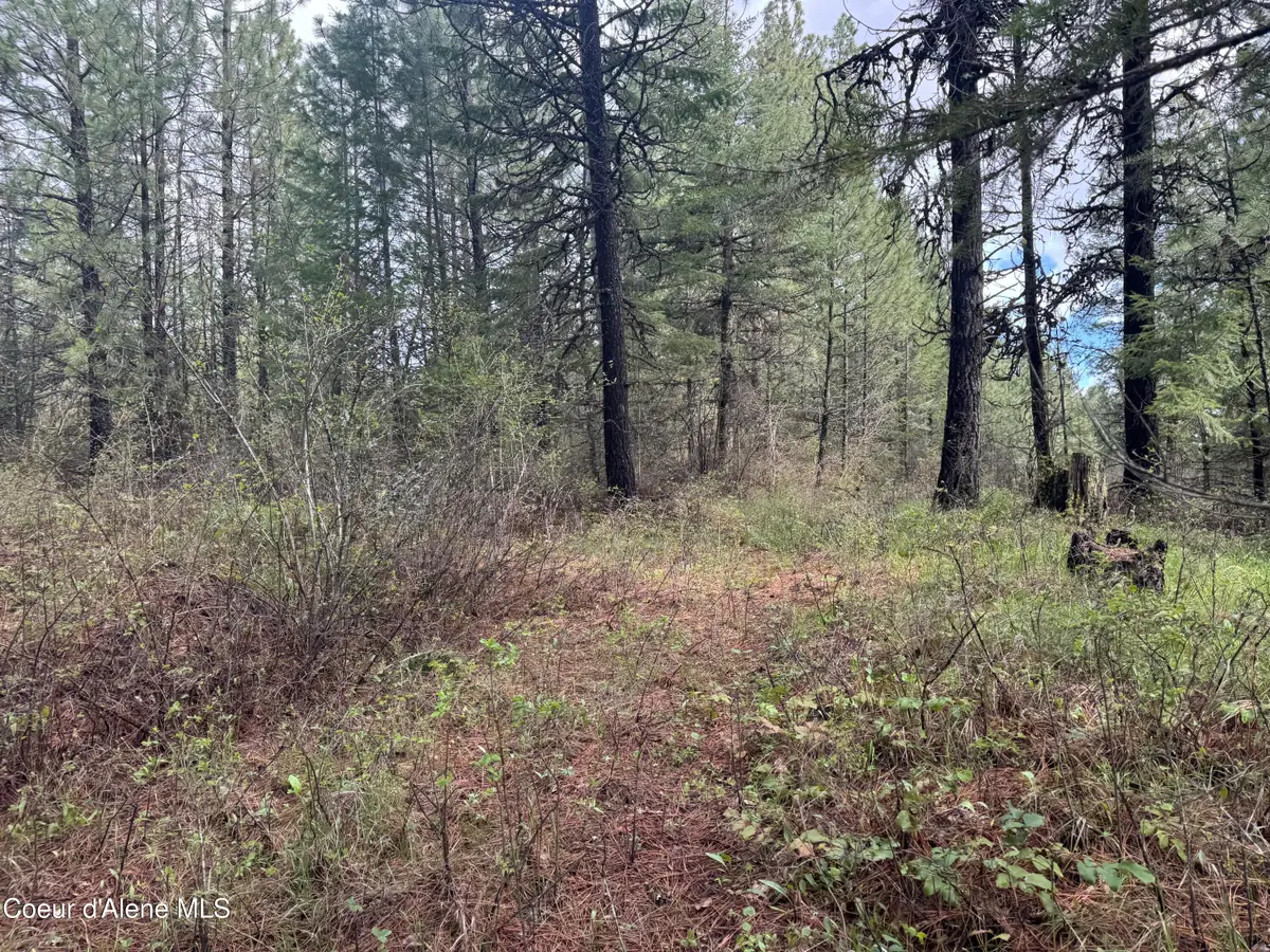 NKA Old Railroad Grade, Plummer, ID 83851 - #1