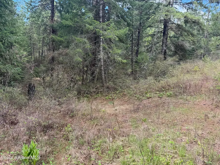 NKA Old Railroad Grade, Plummer, ID 83851 - #2