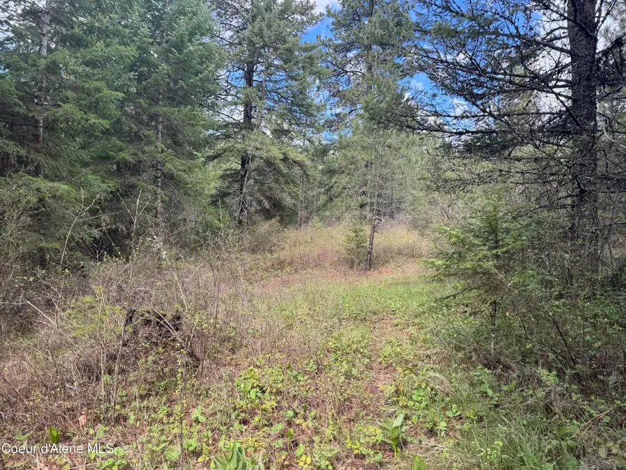 NKA Old Railroad Grade, Plummer, ID 83851 - #3