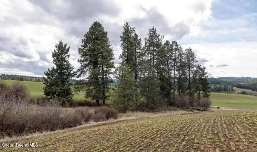 NKA Clifford Rd, Princeton, ID 83857 - #2