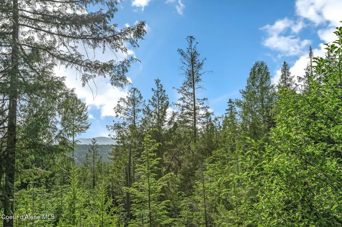 245 Barbary Trl, Sandpoint, ID 83864 - #1