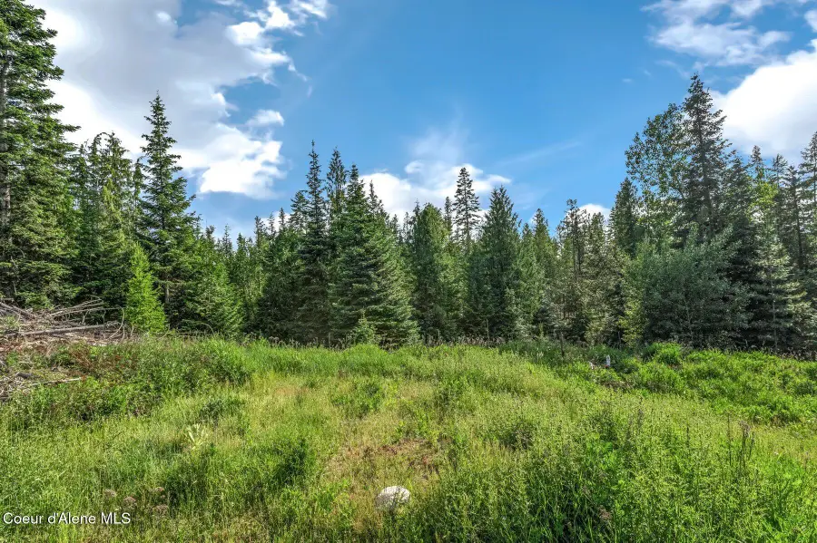 245 Barbary Trl, Sandpoint, ID 83864 - #3