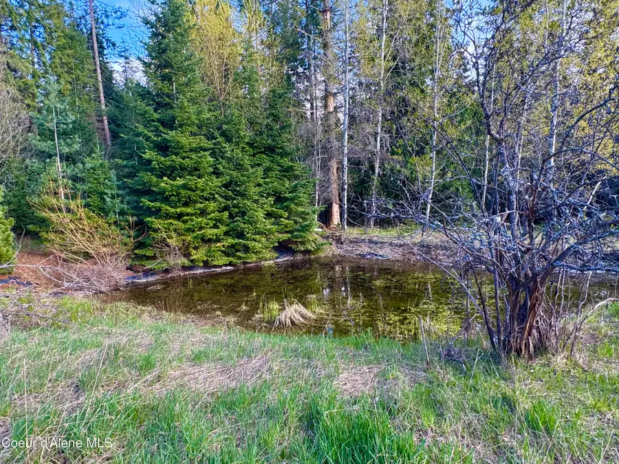 8 Dead Horse Ln, Heron, MT 59844 - #3