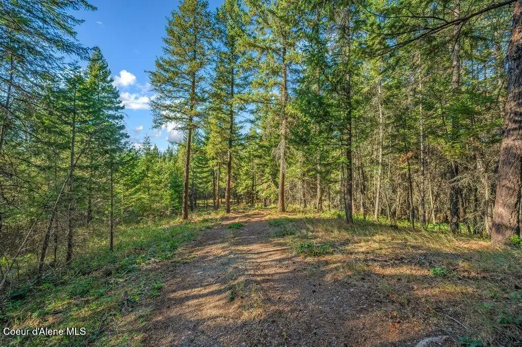 NKA E Son Shine Way, Athol, ID 83801 - #1