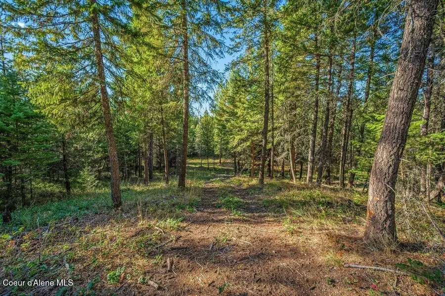 NKA E Son Shine Way, Athol, ID 83801 - #2