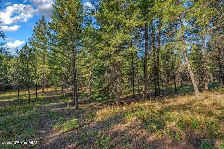 NKA E Son Shine Way, Athol, ID 83801 - #3