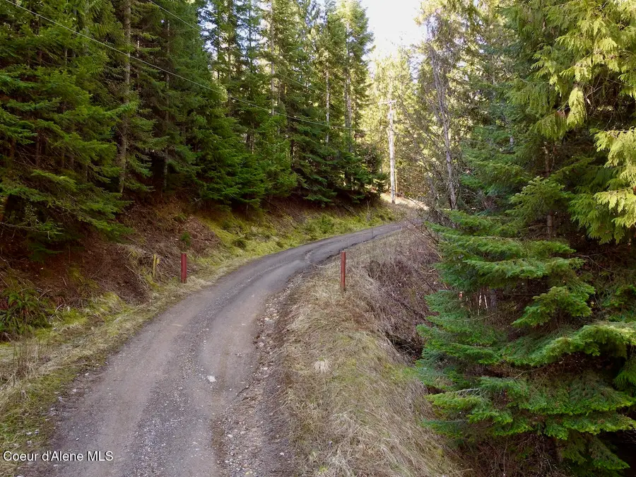 498 Revenue Gulch Rd, Silverton, ID 83867 - #3