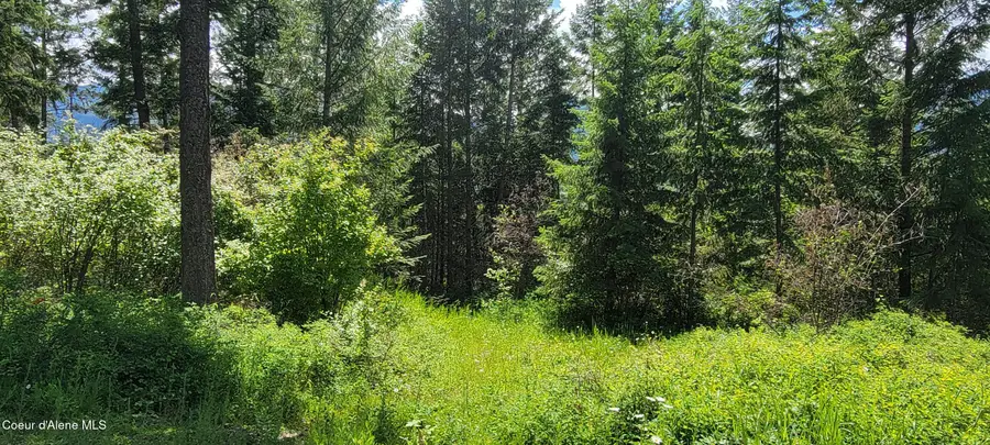 Smugglers Ln Tract A East, Bonners Ferry, ID 83805 - #3