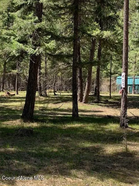 405 Shady LN, Wallace, ID 83873