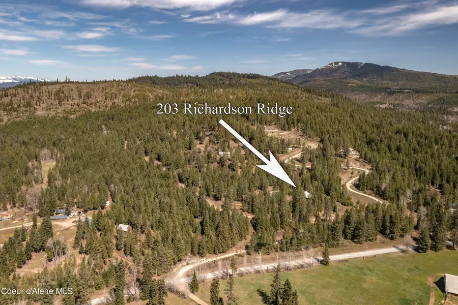 203 Richardsons Ridge RD, Careywood, ID 83809 - #2