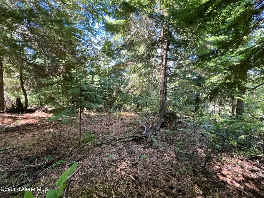 520 Alpine Dr, Fernwood, ID 83830 - #2