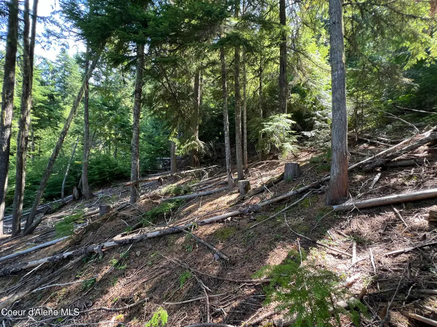 520 Alpine Dr, Fernwood, ID 83830 - #3