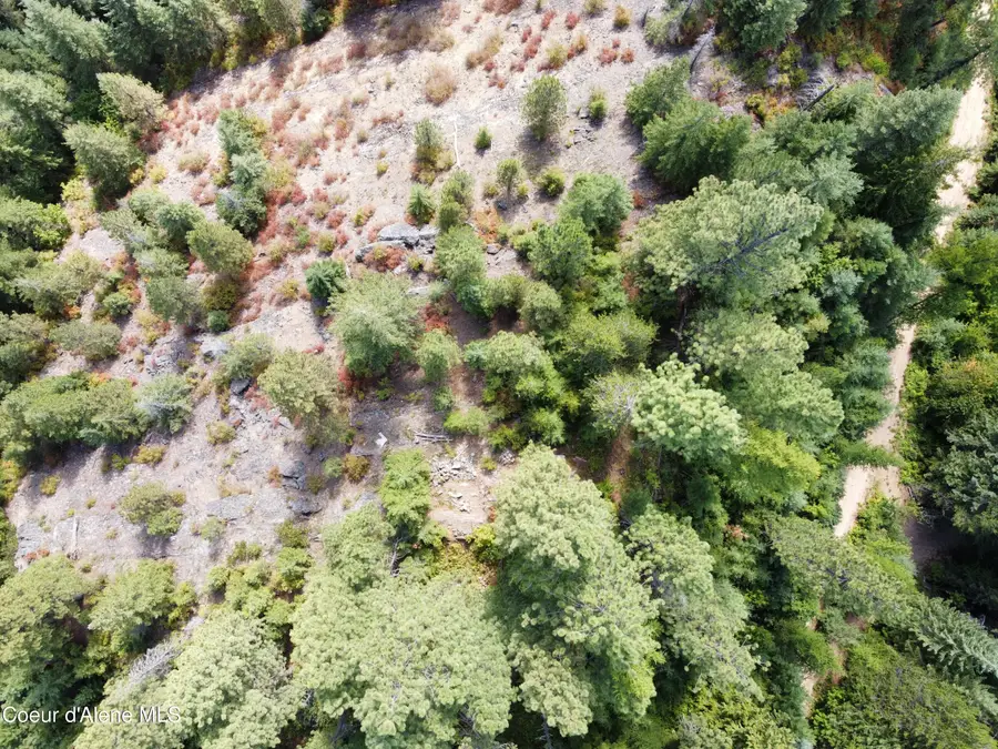 1425 Upriver View DR, Fernwood, ID 83830 - #3