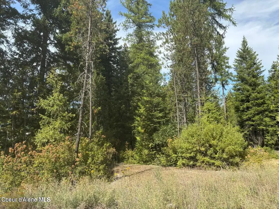 4757 W Spirit Bend Ave, Spirit Lake, ID 83869 - #2