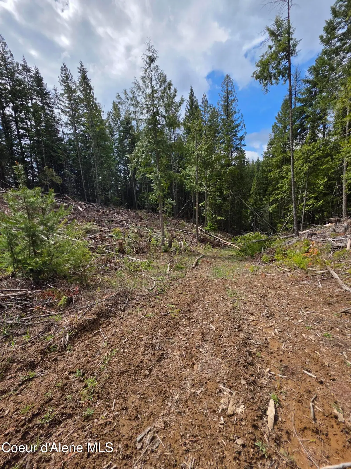 NNA Cabin Loop Road, Saint Maries, ID 83861 - #1
