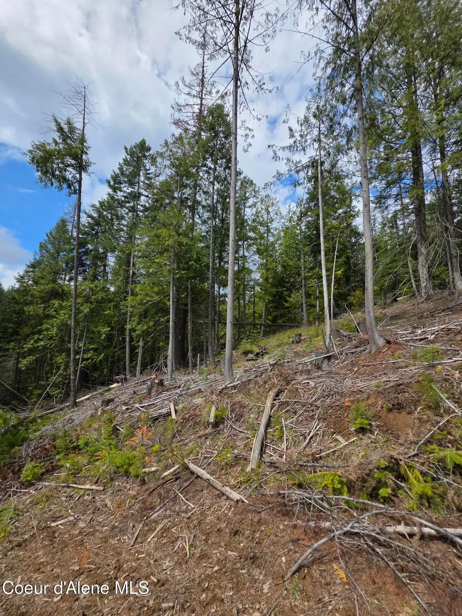 NNA Cabin Loop Road, Saint Maries, ID 83861 - #2