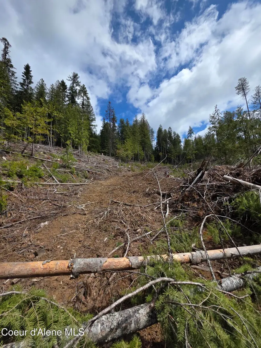 NNA Cabin Loop Road, Saint Maries, ID 83861 - #3
