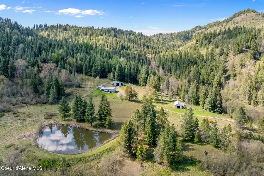 1791 Pup Paw Trl #144.5 Acres, Priest River, ID 83856 - #2