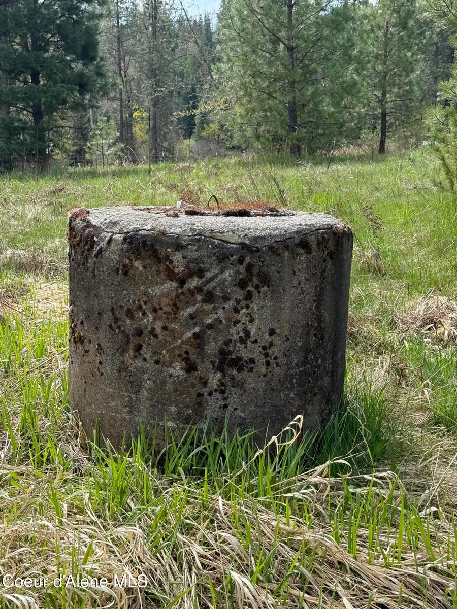NKA LOT #1 Saint Maries River Rd, Saint Maries, ID 83861 - #3