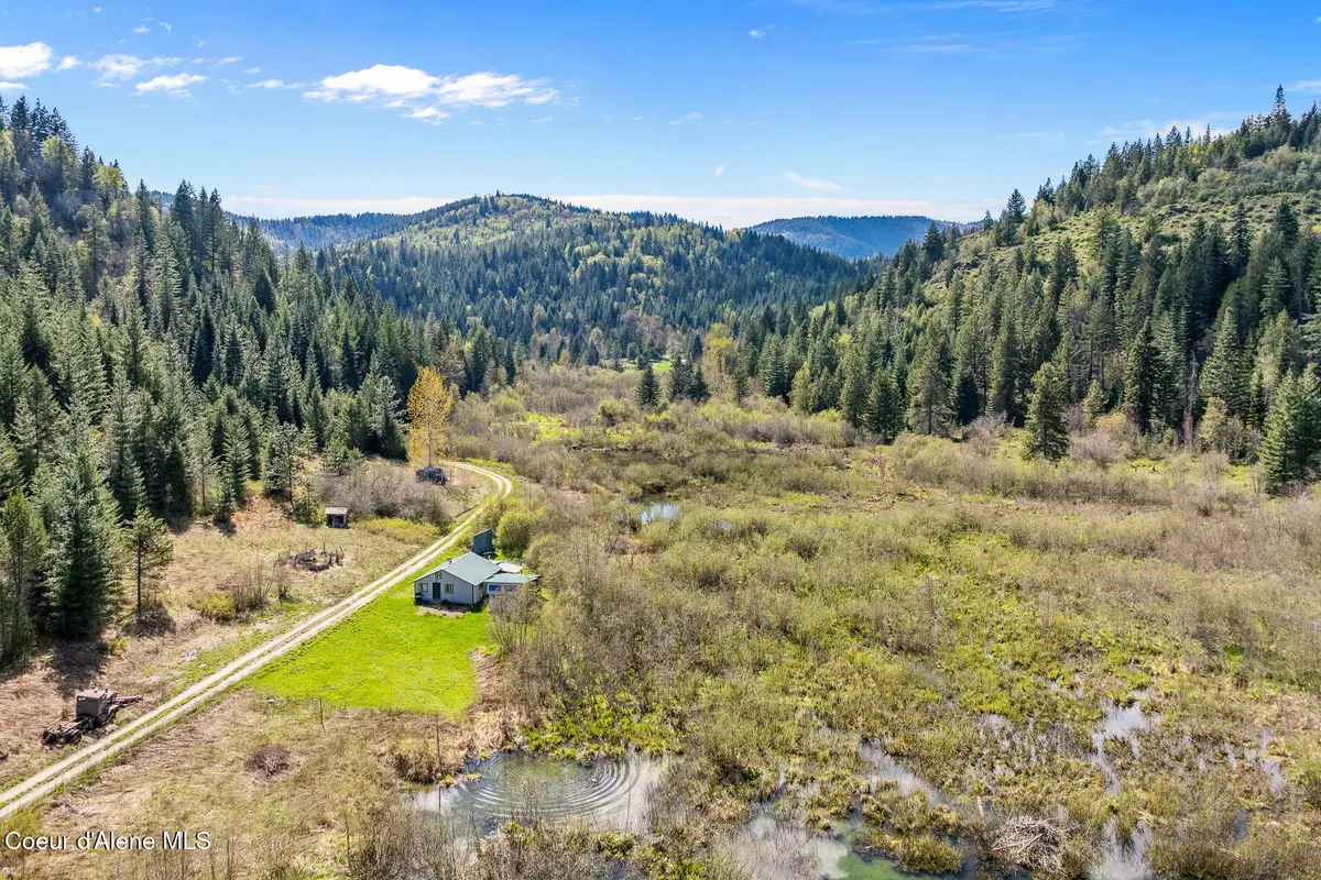 1791 Pup Paw TRL #50 Acres, Priest River, ID 83856 - #1