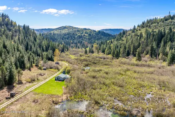 1791 Pup Paw TRL #50 Acres, Priest River, ID 83856