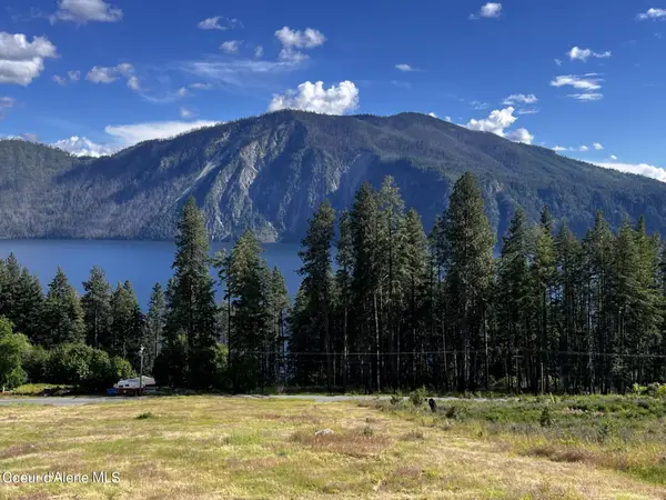 LT 1 BLK 3 MOOSE TRACK / E CAPE HORN RD, Bayview, ID 83803