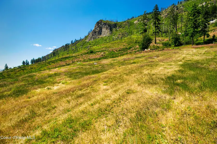 LT 1 BLK 3 MOOSE TRACK / E CAPE HORN RD, Bayview, ID 83803 - #3