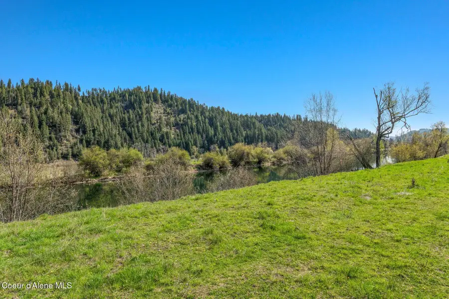 L4 Horn Hooked Estates, Saint Maries, ID 83861 - #3