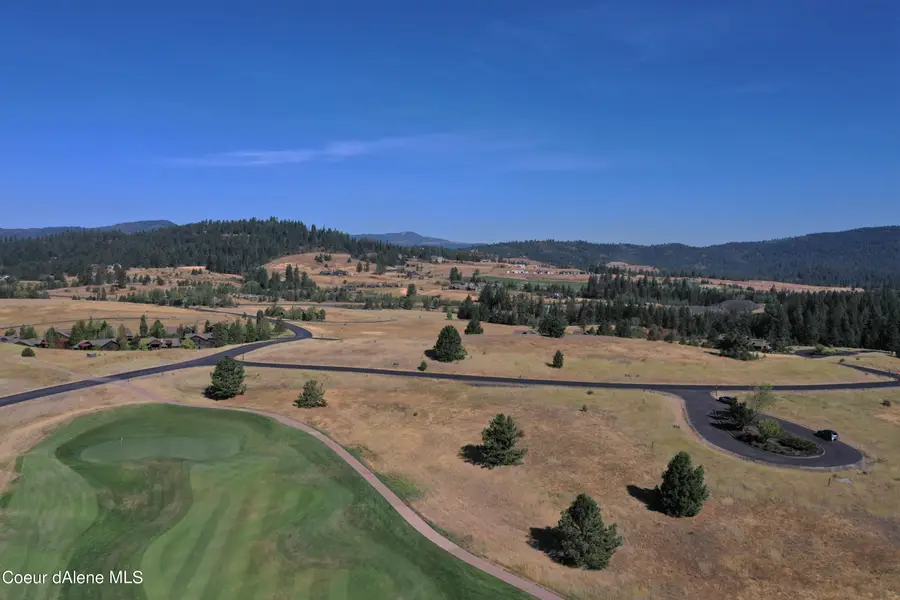 L291 W Bronzite Ct, Coeur Dalene, ID 83814 - #3
