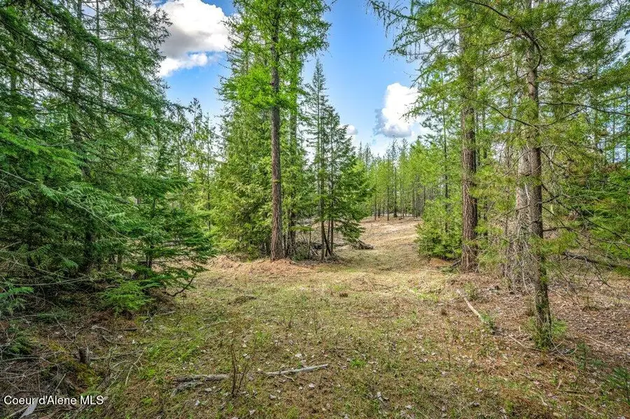 TBD Wellington, Sandpoint, ID 83864 - #3