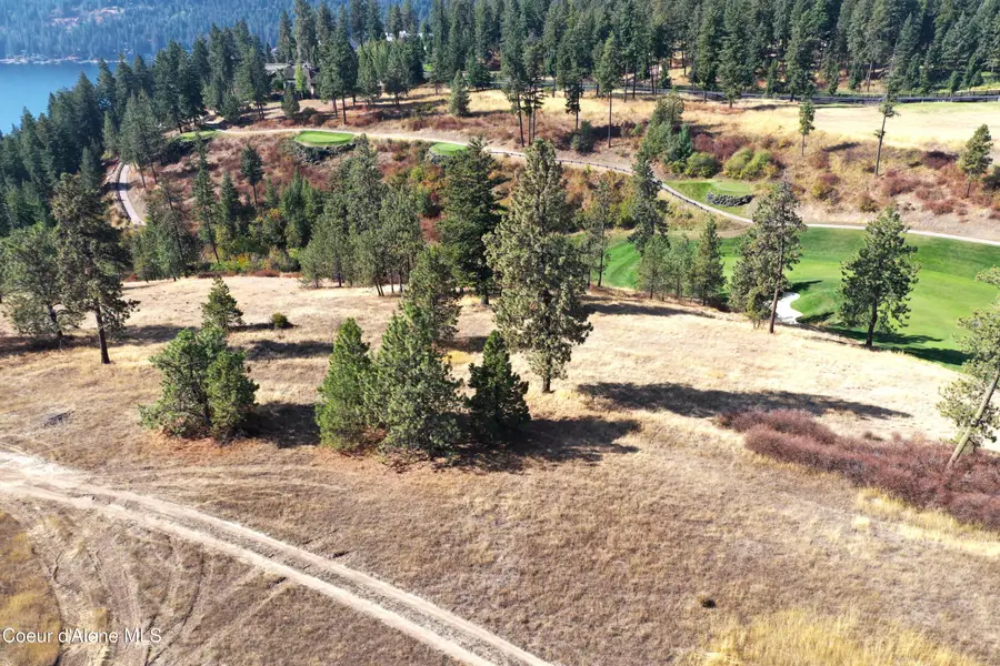 L195 S Basalt Dr, Coeur Dalene, ID 83814 - #3