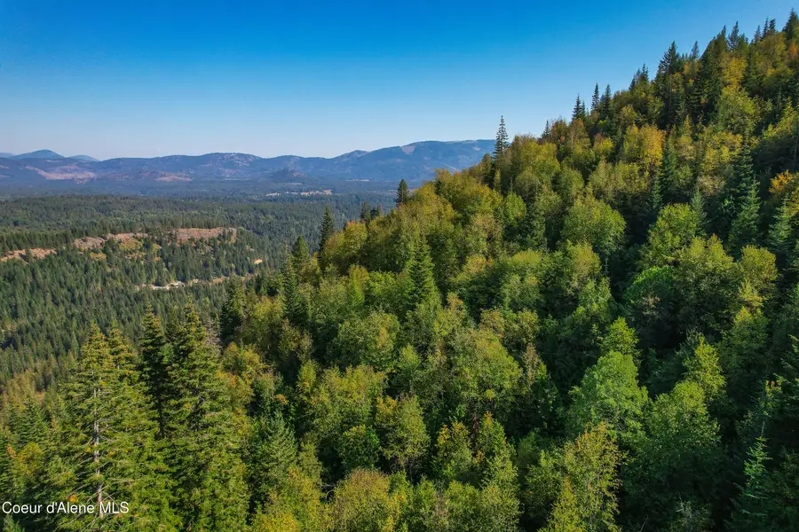 NNA Bodie Canyon Rd., Priest River, ID 83856 - Image #3