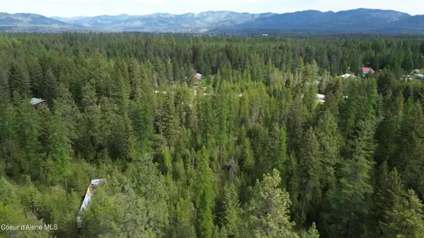Womack Rd Lot 15, Oldtown, ID 83822