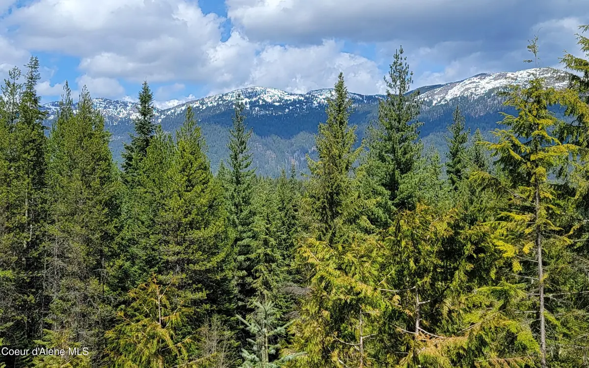 NNA Enchanted Lane #3, Bonners Ferry, ID 83805 - #1