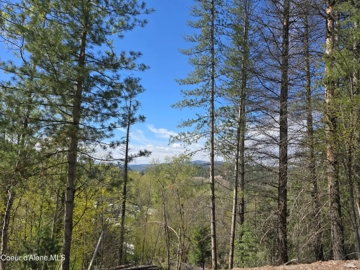 821 Lower Page Rd, Smelterville, ID 83868 - #1
