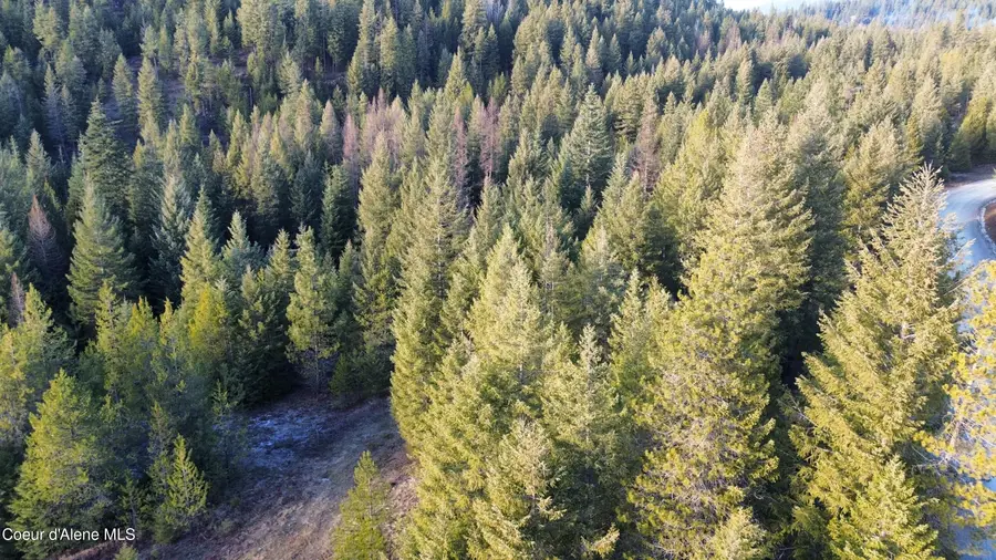 L7 B1 KELSO WOODS DR, Athol, ID 83801 - Image #2