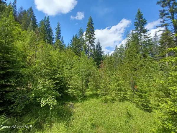 127 Coyote Trail, Priest River, ID 83856