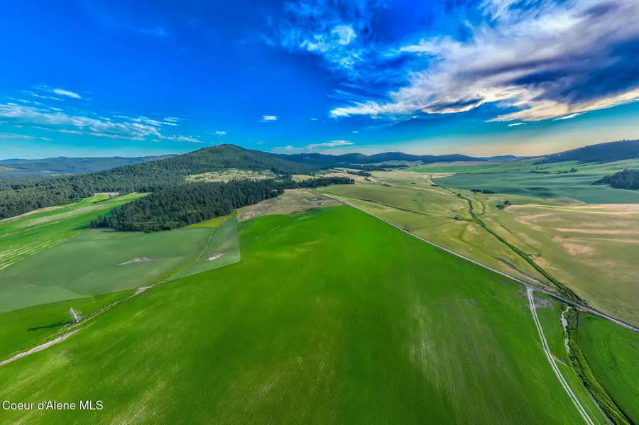 783 Lot D Old Mills Rd, Desmet, ID 83824 - #3