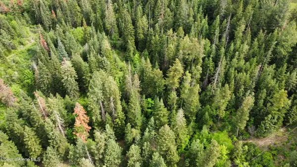 NKA Grandmas Way, St. Maries, ID 83861