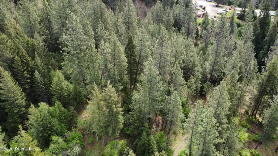 NKA Grandmas Way, Saint Maries, ID 83861 - #2