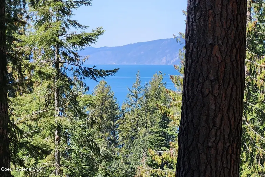 NNA E David Thompson Rd, Hope, ID 83836 - #2