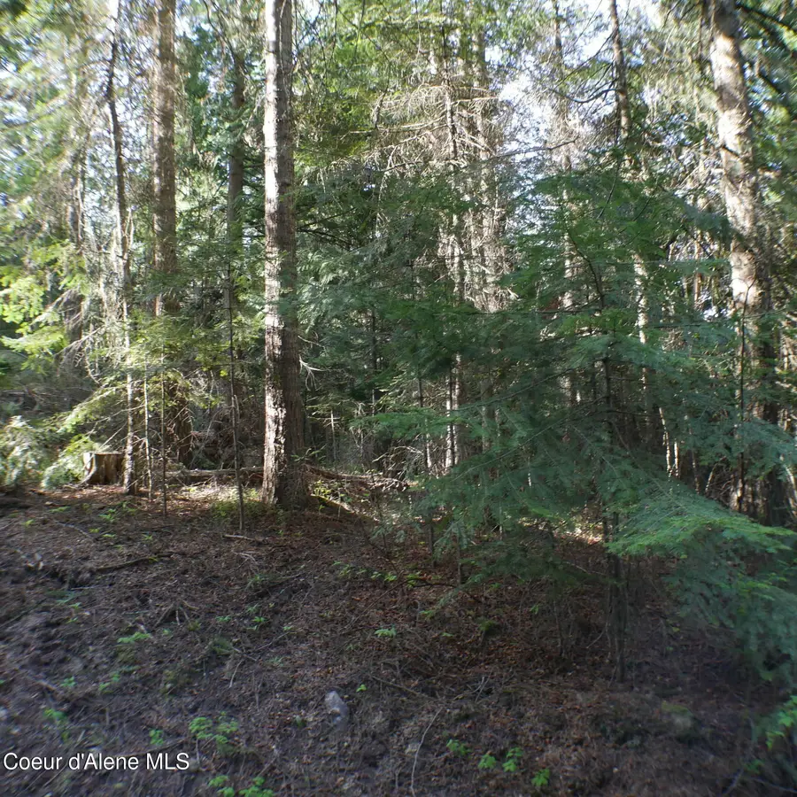 370 Hemlock LN, Fernwood, ID 83830 - #3