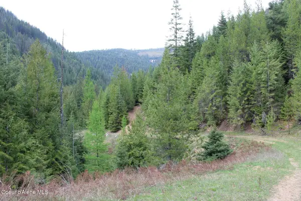 19a Daisy Gulch Rd, Mullan, ID 83846