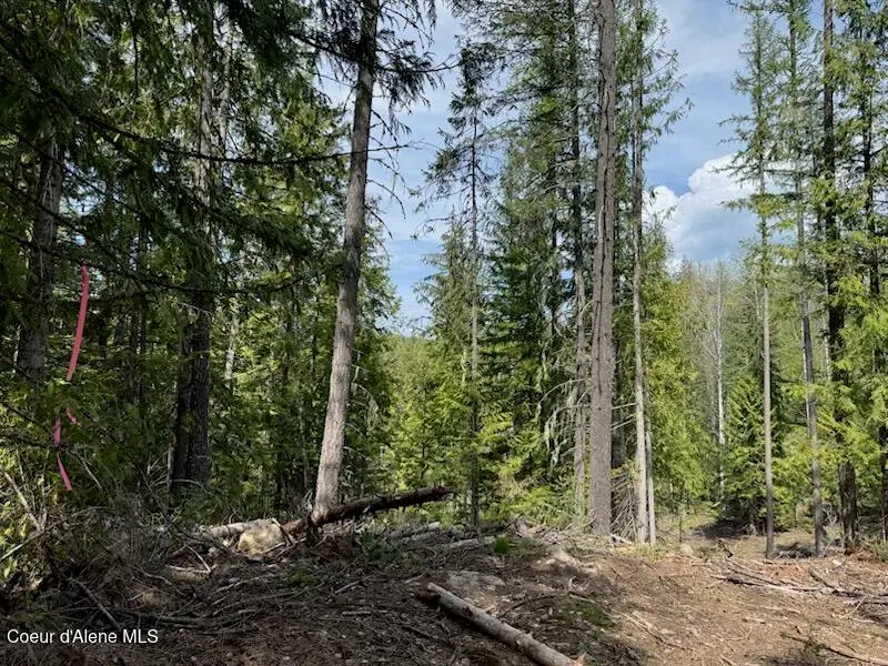 NNA Raven Ridge Rd, Sandpoint, ID 83864 - #1