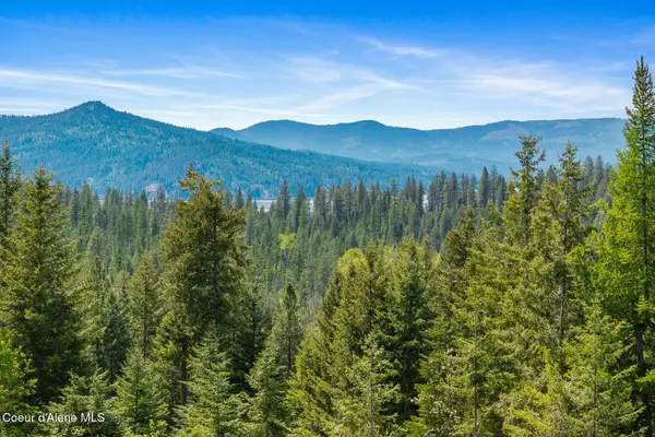 2056 Echo Canyon Dr, Harrison, ID 83833