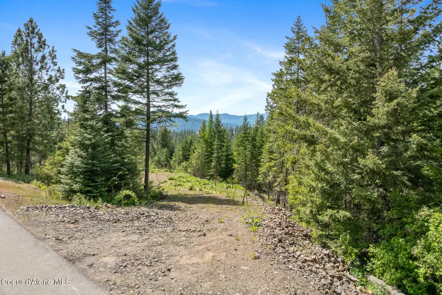 2056 Echo Canyon Dr, Harrison, ID 83833 - #2
