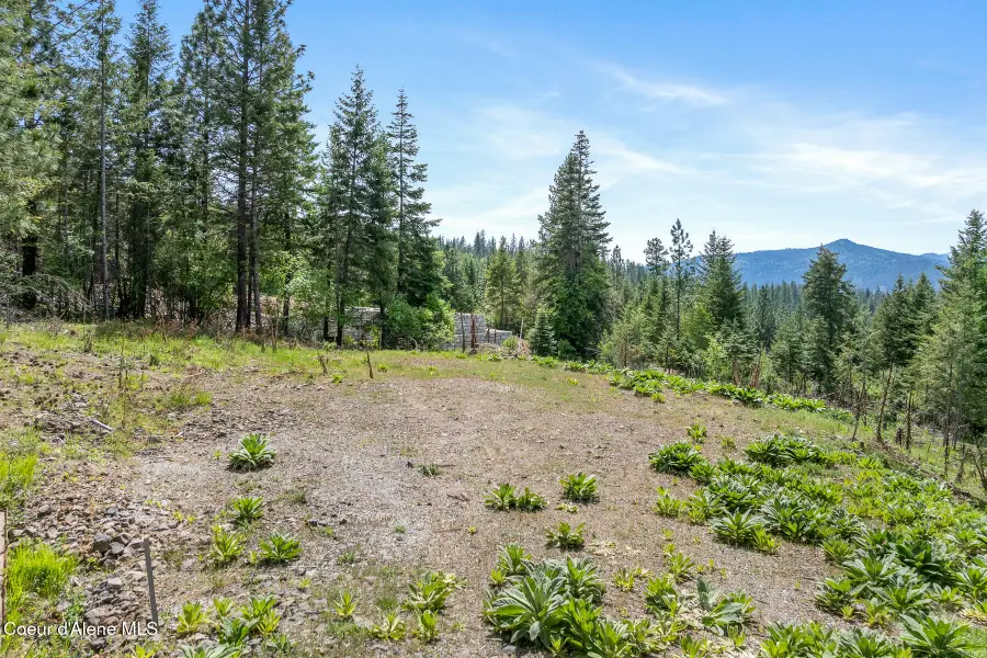 2056 Echo Canyon Dr, Harrison, ID 83833 - #3