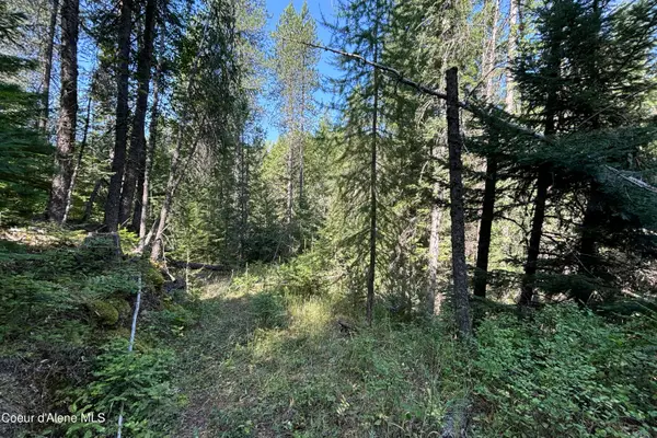 NNA Ridge Way, Sandpoint, ID 83864