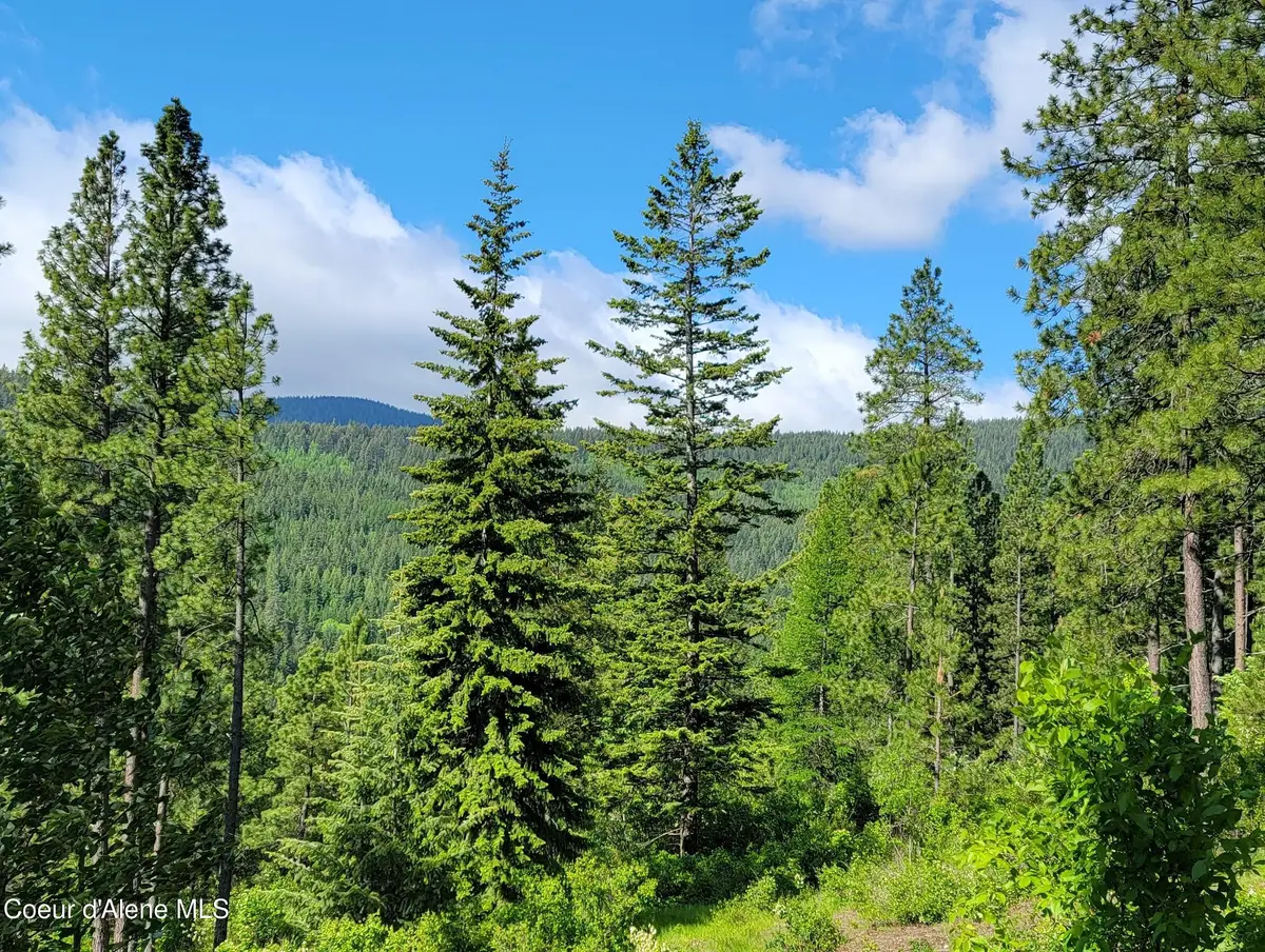 NNA Snowcat Lane Tract 2, Bonners Ferry, ID 83805 - #1